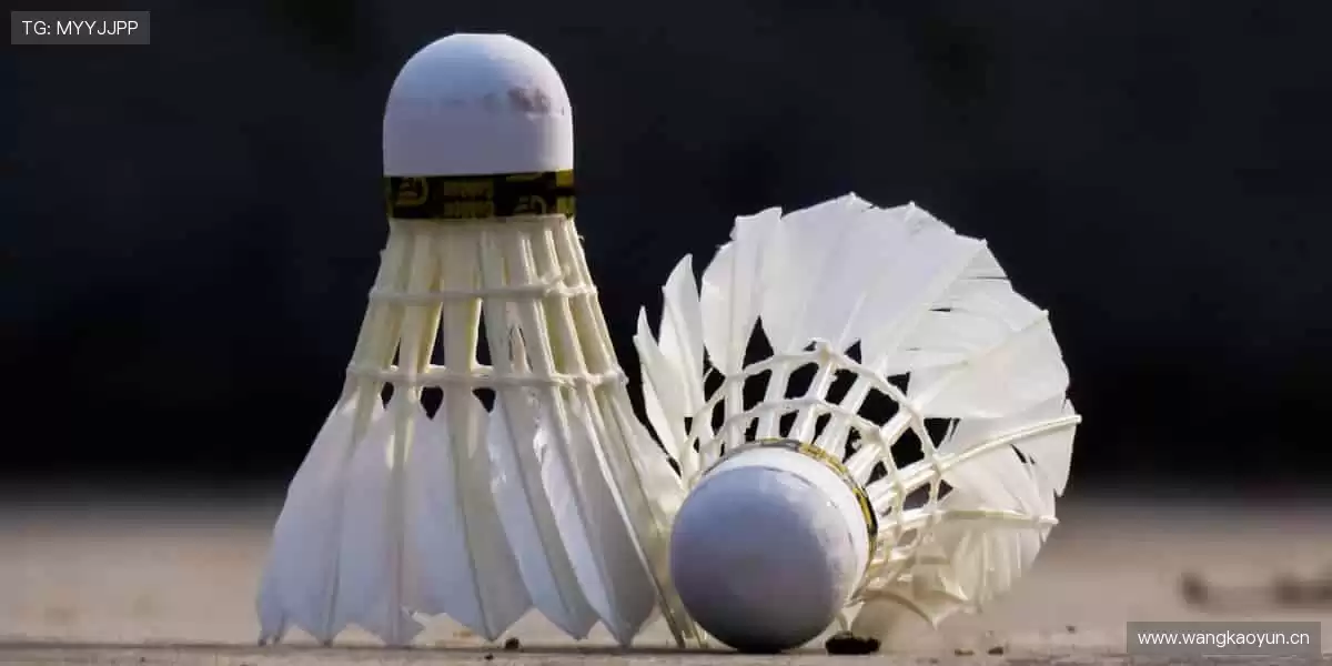 🎁 运动周边，品质之选，活力加持！